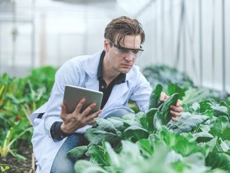 automação em fábricas de fertilizantes